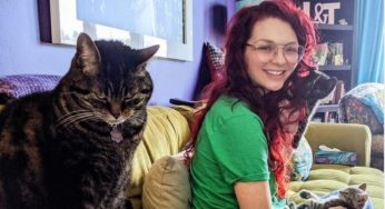Emocionální reakce koček na skutečnost, že jejích majitelka pohladila sousedovu kočku
