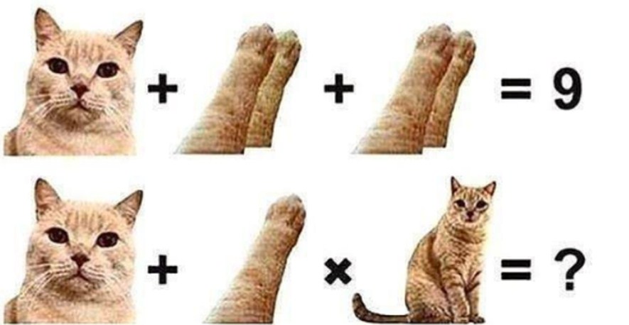Кот б ответы. Ребусы с котиками. Котик задачка. Кошачья математика. Котики и математика.